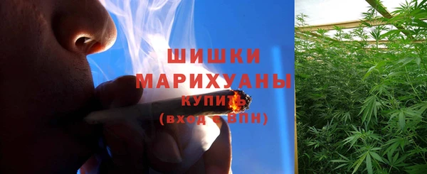 шишки Майский