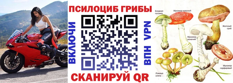 Псилоцибиновые грибы Cubensis  даркнет сайт  мориарти как зайти  Давлеканово 