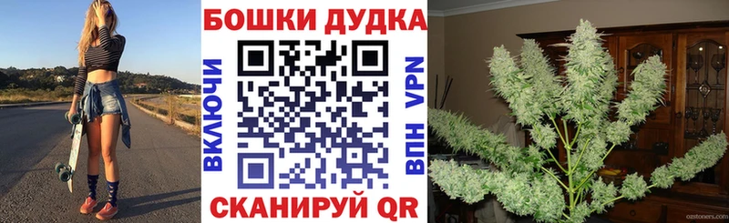 маркетплейс наркотические препараты  Давлеканово  Бошки Шишки ГИДРОПОН 
